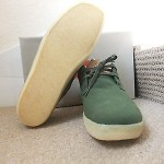 Clarks Original Ashcott x Concepts colab Atmos parra patta Desert Boot