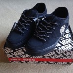 Vans Geoff Rowley Motorhead Size 8.5