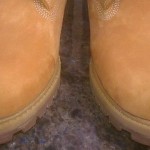 Mens Timberland Boots Wheat 6″ Premium Nubuck Leather Waterproof Sz 10.5 10061