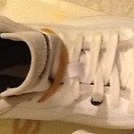 $110 Diesel Midday Designer Sneaker SZ 9 Eur 42 White Extra Orange laces NIB