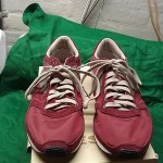 DIESEL Pass On Men Shoes Size US 10.5 Cordovan Red