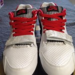 authentic supreme nike sb trainer 2 9.5 vans dunks 94 hi flyknit