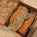 Brand New Classic Wheat Timberland
