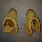 Timberland 6″ Wheat Size 10.5