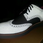 Brand New Cole Haan LUNARGRAND WINGTIP Reflective 3m Leather Shoes SZ 10 Rare