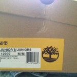 GREAT CONDITION wheat timberland boots size 7