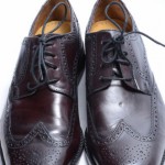 Cole Haan Air Giraldo brown 9.5 leather wingtip oxford shoe NEW $248 GNX392