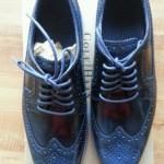 Cole haan lunargrand long 10.5 wing tip blue camello gold silver