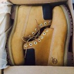 BRAND NEW Timberland boots size 13