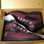Men’s Timberland GT Alpine Burgundy Hiking Boots Size 10 NEW IN BOX!