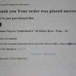 Ronnie Fieg Timberland Wine Colorway Size 10