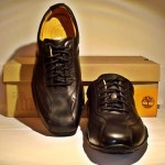 Timberland Leather Oxford Shoes Men’s Palladian Bike Toe Style US 11 UK 10.5 45
