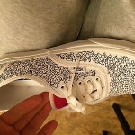 Men’s Custom Vans Authentic Shoes, 10 (RARE)