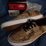 Vans “off The Wall” Shoes