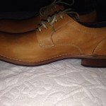 mens cole haan shoes size 12