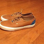 VANS mens shoe size 12