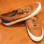 VANS mens shoe size 12
