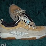 TIMBERLAND SUEDE CASUAL SHOES SZ 13M BRAND NEW