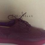 COLE HAAN Mens Bergen Wingtip Oxfords Shoes Chestnut Suede – sz 10 New In Box