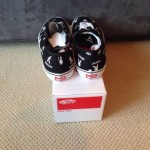 Supreme Vans Authentic Pro Playboy