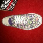 (Liberty) Birds/Navy vans
