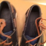 Fire Island Boat Shoes Cole Haan Size 7.5 Empire Blazer Blue MSRP $168 75% Off