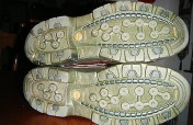 13629