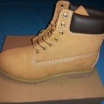 NEW Timberland Premium Waterproof 6-inch Mens M/M Boot 10061 NIB SIZE 9.