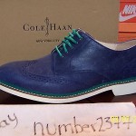 NEW Nike Air Franklin Wing II Cole Haan size 11