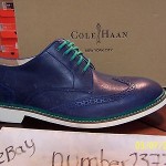 NEW Nike Air Franklin Wing II Cole Haan size 11