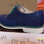 NEW Nike Air Franklin Wing II Cole Haan size 11