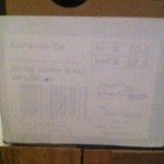 BNIB Vans Authentic CA US 10.5 Birds Hunter Green