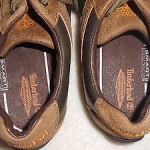 Timberland Ca Lopro Ox Men’s Trainers 7M