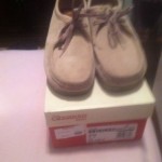 Clarks Wallabees