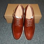 New Cole Haan Lunargrand Apron Oxford Woodbury Size 10 M
