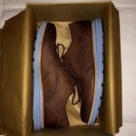 Nike x Cole Haan Lunargrand Wing Tip Oxford 11 M Chestnut Blue