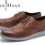 Nike x Cole Haan Lunargrand Wing Tip Oxford 11 M Chestnut Blue