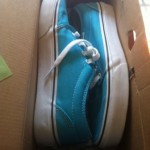 Vans Chukka Low (2 For 50) Size 8