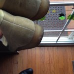 CLARKS WALLABES SLIGHTLY USED
