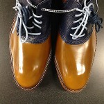 Mens NWOB COLE HAAN Brown/Blue Lace Up Oxfords Shoes Size 10.5 M, MADE IN INDIA!