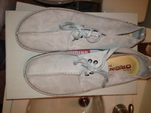 Clarks Desert Trek