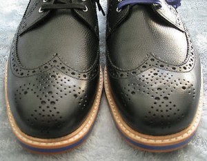Brand New Beautiful Cole Haan Wingtips in size 10D Orig. $298